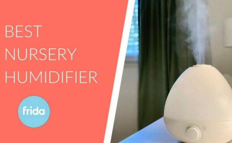  Fridababy 3-in-1 Nursery Humidifier Review