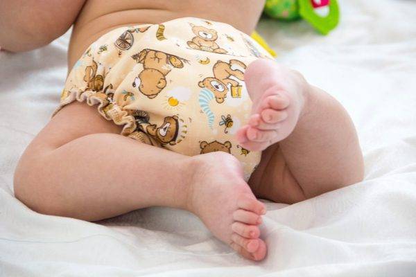 case for cloth diapers feature