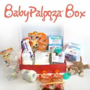 Babypalooza Sample Box