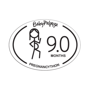 Pregnancython 9.0 Months Rear Window Sticker