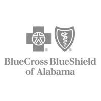 BlueCross BlueShield of Alabama Babypalooza sponsor