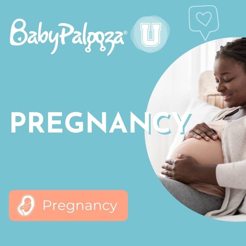 BabypaloozaU Pregnancy Course